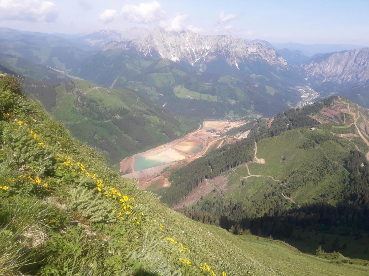 Auszeit Steiraland 7 Mit Ueberdachten Balkon Und Parkplatz Leoben  Bagian luar foto